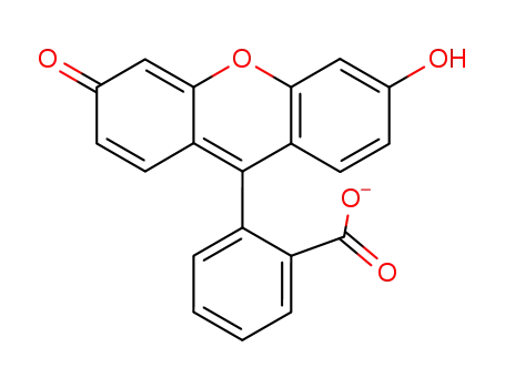 Molecular Structure of 53968-62-0 (fluorescein-H)