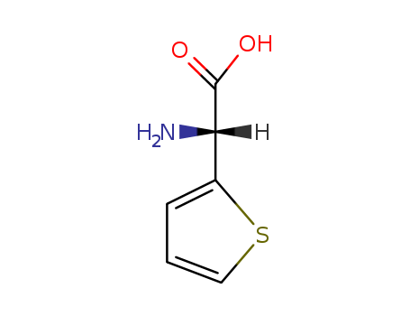 (R)-a-Amino-2-thiopheneacetic acid