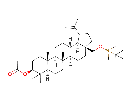 Molecular Structure of 501124-71-6 (3-acetoxy-28-tert-butyldimethylsiloxybetulin)