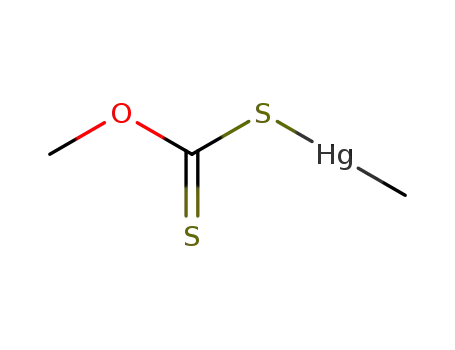 Molecular Structure of 435339-65-4 (MeOCS<sub>2</sub>HgMe)