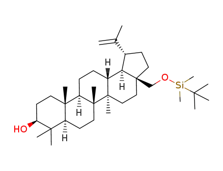 Molecular Structure of 501124-70-5 ((3β)-28-[(dimethylethyl)dimethylsilyloxy]lup-20(29)-en-3-ol)