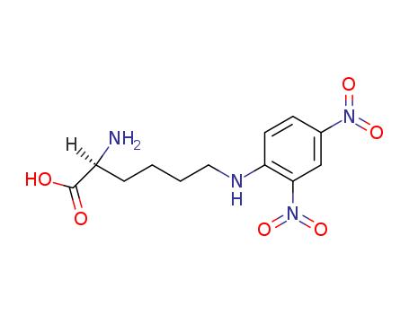 epsilon-dinitrophenyllysine