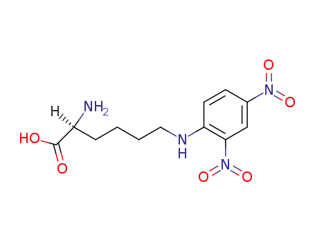 Molecular Structure of 1094-76-4 (epsilon-dinitrophenyllysine)