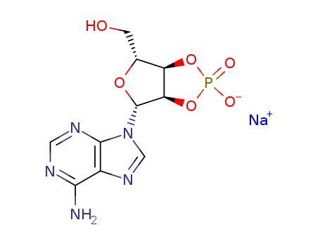 Adenosine, cyclic2',3'-(hydrogen phosphate), monosodium salt (9CI)