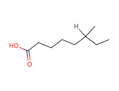 6-METHYLOCTANOIC ACID