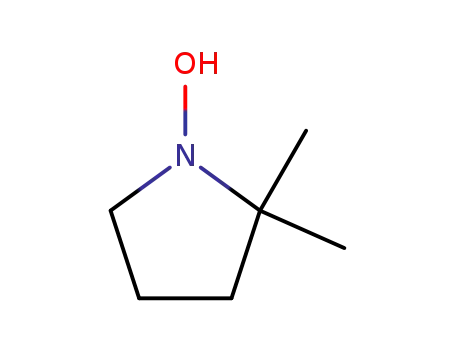 2,2-dimethylpyrrolidinyl-1-hydroxy