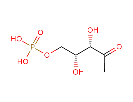 1-deoxy-D-xylulose 5-phosphate