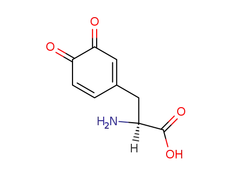 Molecular Structure of 25520-73-4 ((S)-α-Amino-3,4-dioxo-1,5-cyclohexadiene-1-propanoic acid)