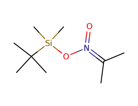 2-aci-nitropropane (t-butyl)dimethylsilyl ester