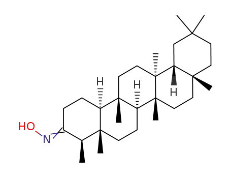 friedelin oxime