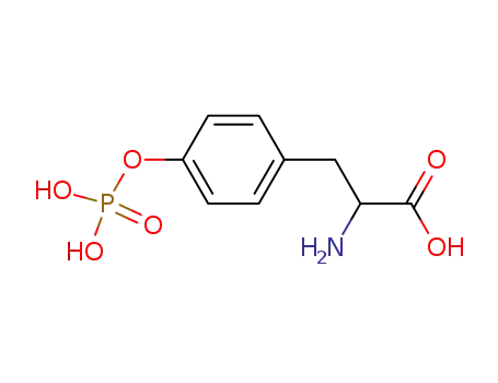오-포스포-DL-티로신)
