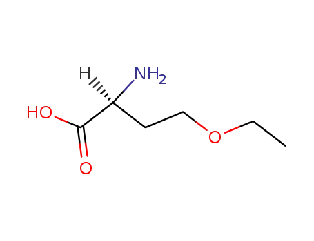 O-에틸-L-호모세린