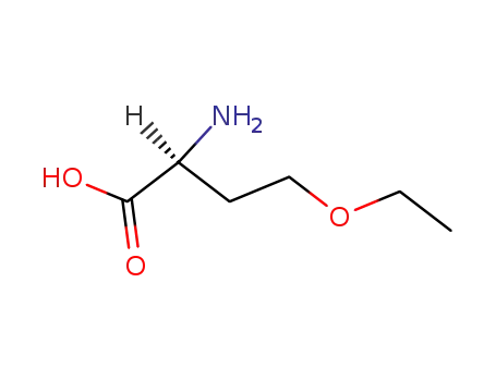 O-Ethyl-L-homoserine