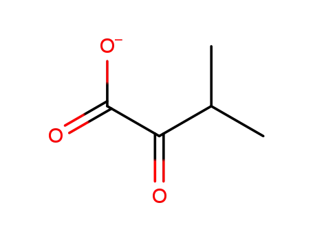 Molecular Structure of 2507-77-9 (α-ketoisovalerate)
