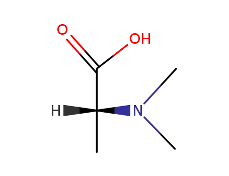 Molecular Structure of 157431-09-9 (N,N-Dimethyl-L-Alanine)