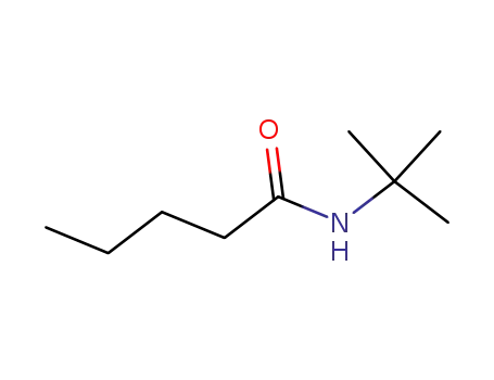Molecular Structure of 4307-07-7 (Pentanamide, N-(1,1-dimethylethyl)-)