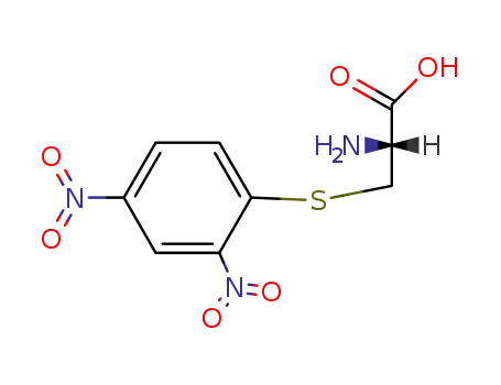 Molecular Structure of 23815-63-6 (S-(2,4-dinitrophenyl)cysteine)
