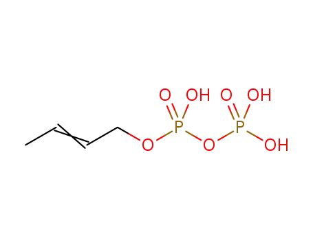 Molecular Structure of 22342-44-5 (Diphosphoric acid, mono-2-butenyl ester)