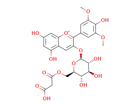 malvidin 3-O-[6-O-malonyl-β-D-glucopyranoside]