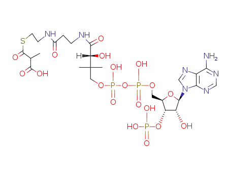 Molecular Structure of 73173-92-9 (R-Methylmalonyl-CoA)