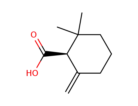 Molecular Structure of 166022-22-6 ((1S)-(+)-2,2-dimethyl-6-methylene-1-cyclohexanecarboxylic acid)