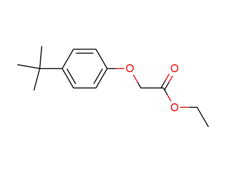 Molecular Structure of 3344-19-2 (ethyl [4-(1,1-dimethylethyl)phenoxy]acetate)