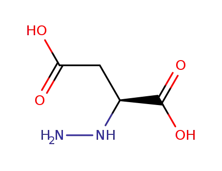 Molecular Structure of 92751-07-0 (hydrazinosuccinic acid)