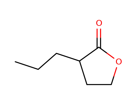 Molecular Structure of 1743-16-4 (2(3H)-Furanone, dihydro-3-propyl-)
