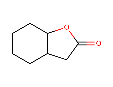 Molecular Structure of 6051-03-2 (Octahydrobenzofuran-2-one)