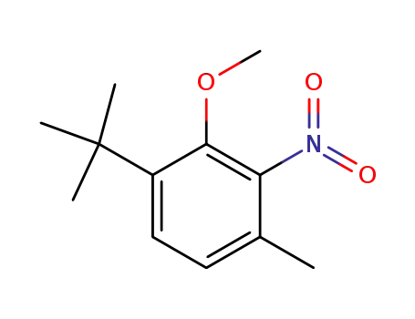 Molecular Structure of 107342-43-8 (6-<i>tert</i>-butyl-3-methyl-2-nitro-anisole)