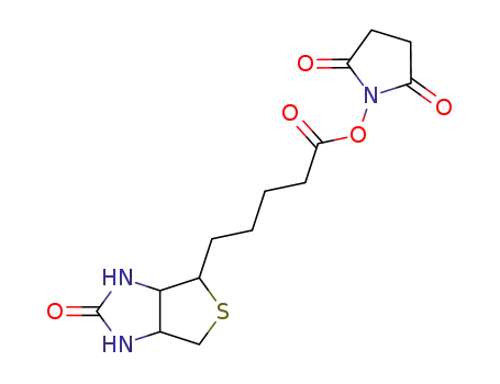 Molecular Structure of 85718-04-3 (biotin N-hydroxysuccinimide ester)