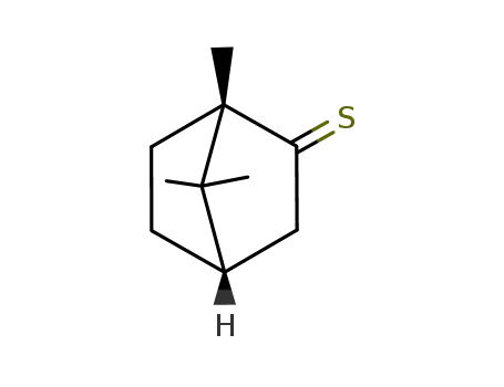 Molecular Structure of 52078-93-0 (Bicyclo[2.2.1]heptane-2-thione, 1,7,7-trimethyl-, (1S,4S)-)