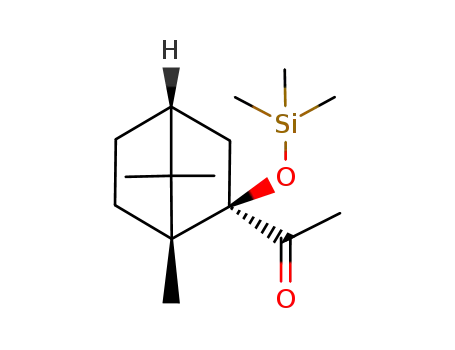 Molecular Structure of 204577-67-3 ((1R)-2-endo-acetyl-2-exo-(trimethylsilyloxy)-1,7,7-trimethylbicyclo[2.2.1]heptane)