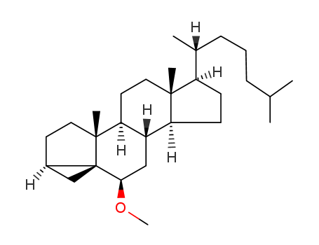 3ALPHA,5-CYCLO-5ALPHA-CHOLESTAN-6BETA-OL METHYL ETHER