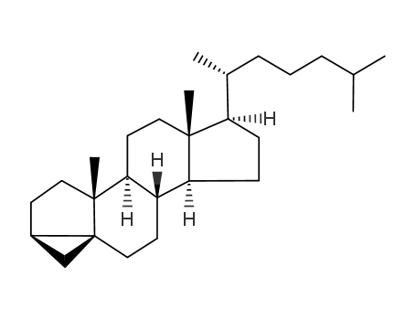 Molecular Structure of 17132-01-3 (3,5-CYCLOCHOLESTANE)