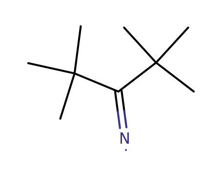 (1-<i>tert</i>-butyl-2,2-dimethyl-propylidene)-aminyl