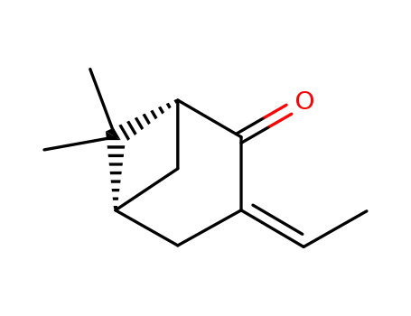 Molecular Structure of 73068-31-2 ((1R,5R)-6,6-Dimethyl-3-(Z)-ethylidenebicyclo<3.1.1>heptan-2-one)