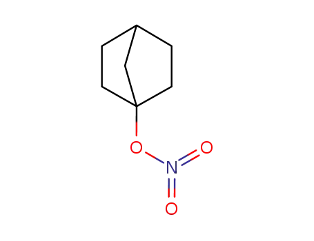 Molecular Structure of 249904-46-9 (1-Nitrooxy-bicyclo[2.2.1]heptane)