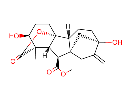 Gibberellin A1 Methyl Ester