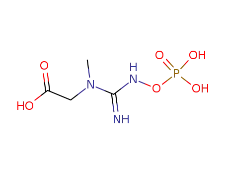 Molecular Structure of 4087-38-1 (phosphocreatine)