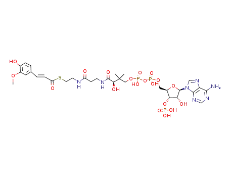 Molecular Structure of 30802-02-9 (feruloyl-CoA)
