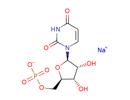 SODIUM 5-URIDILATE