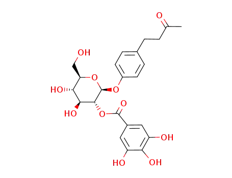 [4,5-Dihydroxy-6-(hydroxymethyl)-2-[4-(3-oxobutyl)phenoxy]oxan-3-yl] 3,4,5-trihydroxybenzoate
