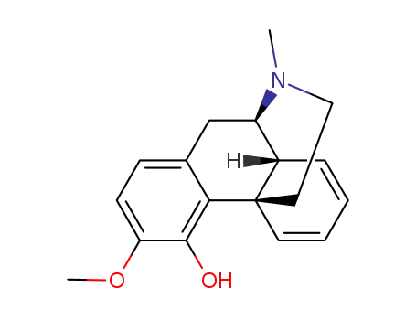 Molecular Structure of 845-72-7 (5,6,7,8-Tetradehydro-3-methoxy-17-methylmorphinan-4-ol)