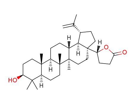 Molecular Structure of 1228273-12-8 ((R)-4-[3β-hydroxy-28-norlup-20(29)-en-17β-yl]-γ-butyrolactone)