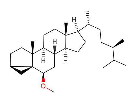 Molecular Structure of 71496-86-1 ((3β,5α,6β,24R)-6-Methoxy-3,5-cycloergostane)