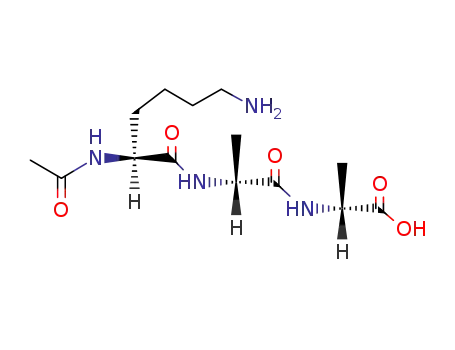 Molecular Structure of 28845-97-8 (AC-LYS-D-ALA-D-ALA-OH)