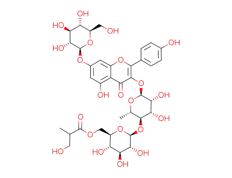 kaempferol 3-O-β-D-(6-O-3-hydroxyisobutyryl)glucopyranosyl-(1->4)-α-L-rhamnopyaranosyl-7-O-β-D-glucopyranoside