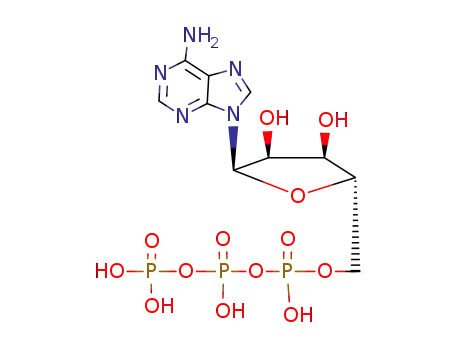 Molecular Structure of 653-60-1 (9-beta-xylofuranosyladenine 5'-triphosphate)