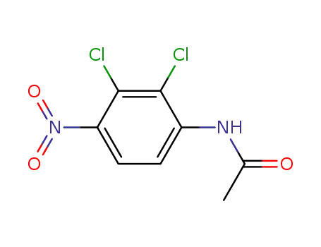 Molecular Structure of 261764-91-4 (Acetamide, N-(2,3-dichloro-4-nitrophenyl)-)